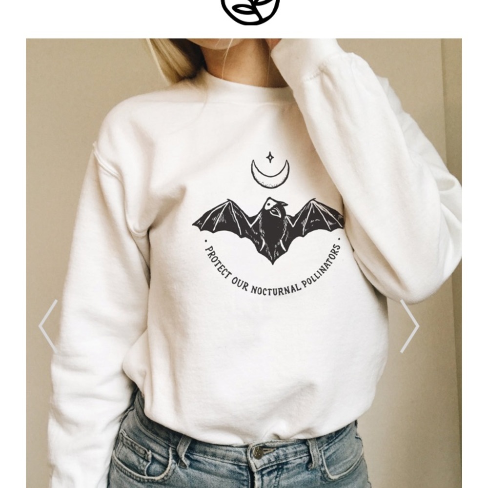 Wholesome Culture bat protect our nocturnal pollinators sm